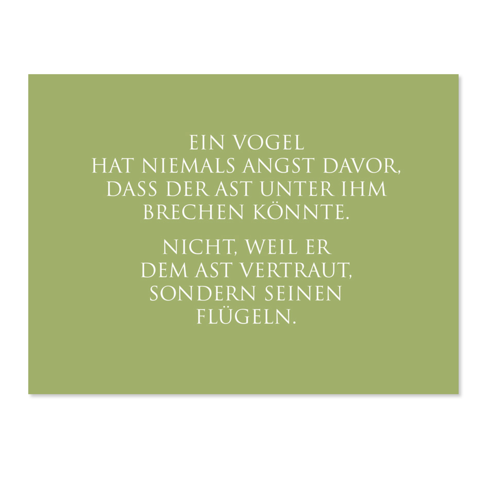 Wunderwort Postkarte Ein Vogel hat niemals Angst davor Wunderwort Postkarte. Ein Vogel hat niemals Angst davor, dass der Ast unter ihm brechen könnte. Nicht, weil er dem Ast vertraut, sondern seinen Flügeln.