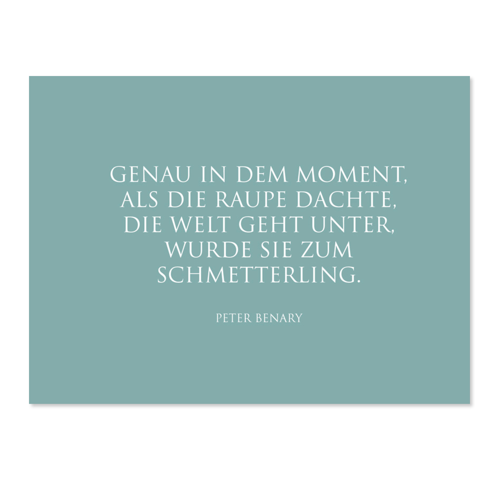 Wunderwort Postkarte Genau in dem Moment Wunderwort Postkarte Genau in dem Moment als die Raupe dachte die Welt geht unter wurde sie zum Schmetterling